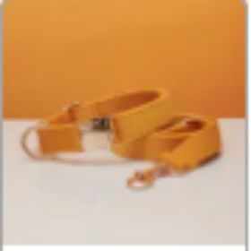 Multiple Colour Velvet Personalise Dog Collar Leash Set With Bow (Option: Yellow set-XS)